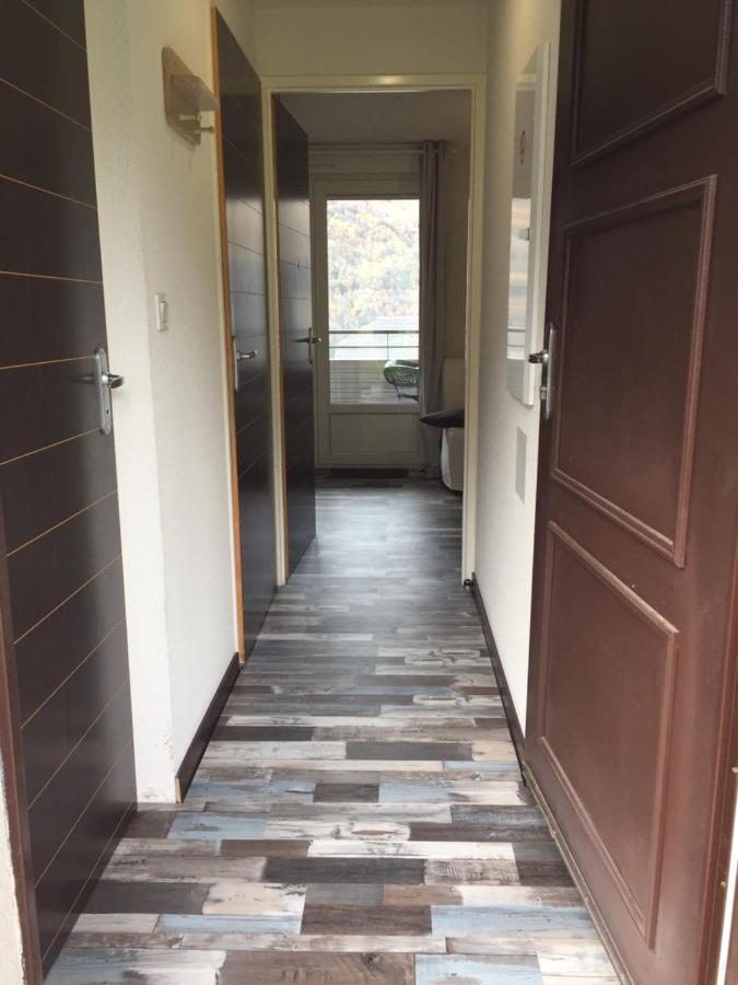 Loc Luz St Sauveur 4 Apartment Люс-Сен-Совер Екстериор снимка